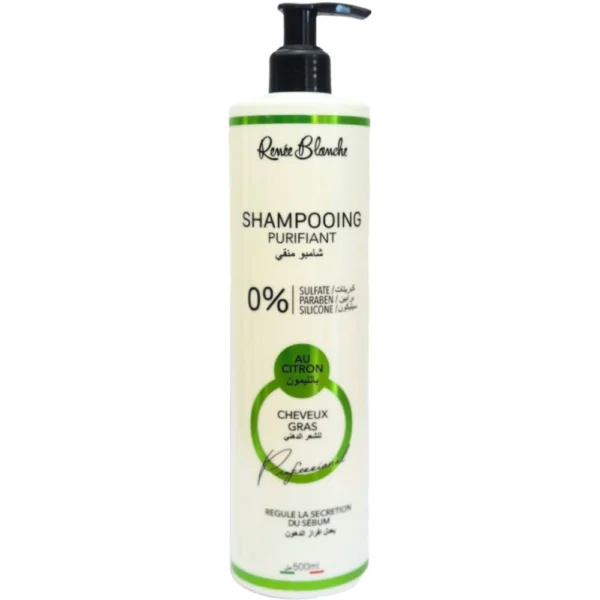 Shampoing sans sulfate Purifiant 500ml